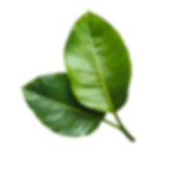productpage-bg